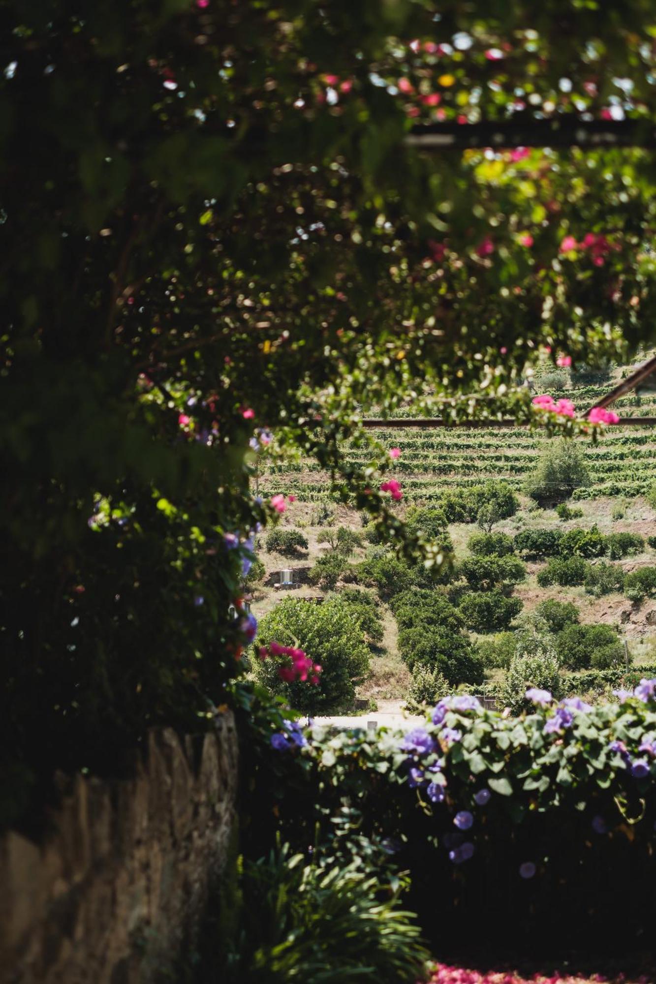 Quinta Da Travessa - Douro Hotell Covelinhas Eksteriør bilde