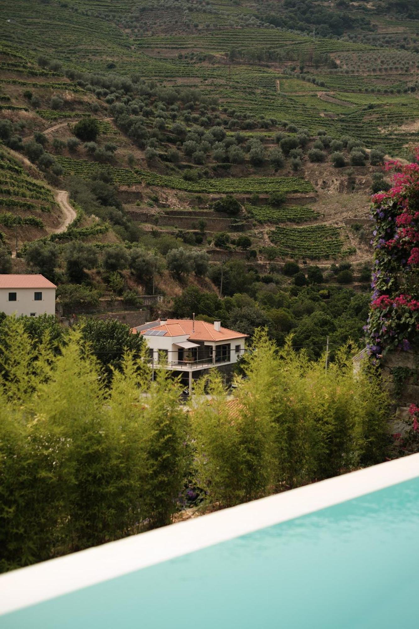 Quinta Da Travessa - Douro Hotell Covelinhas Eksteriør bilde